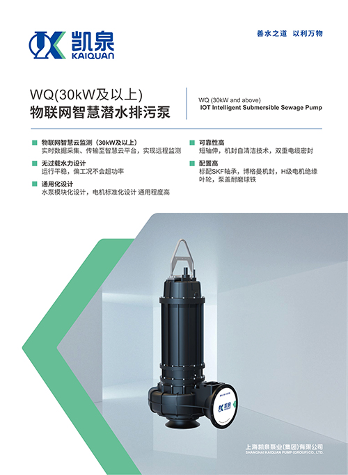WQ（30KW及以上）物聯(lián)網(wǎng)智慧潛水排污泵